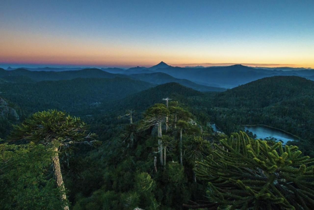 Pucon, La Capital Del Sur De Chile Apartment Екстериор снимка