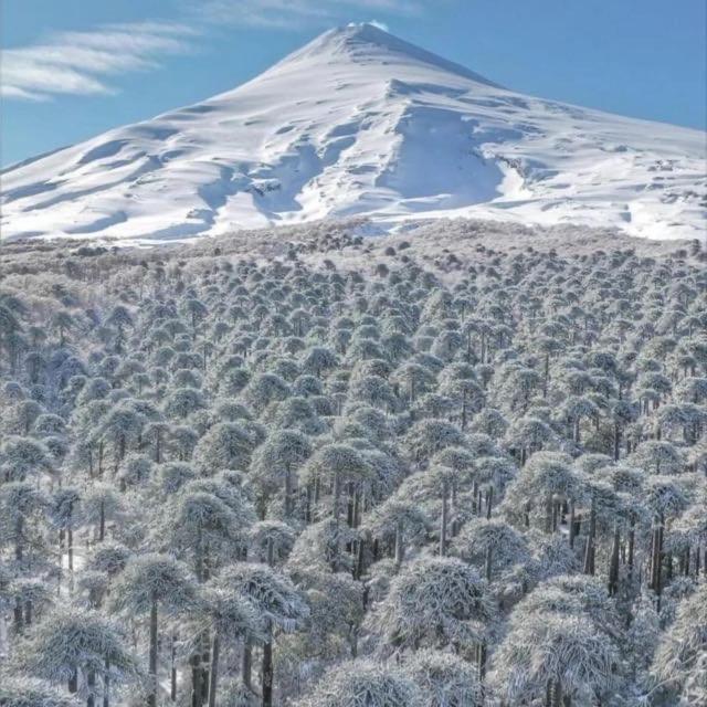 Pucon, La Capital Del Sur De Chile Apartment Екстериор снимка